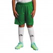 Детски Къси Панталони MUSAI Vifa Kids Shorts Fern Green