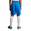 Детски Къси Панталони MUSAI Vifa Kids Shorts Royal Blue